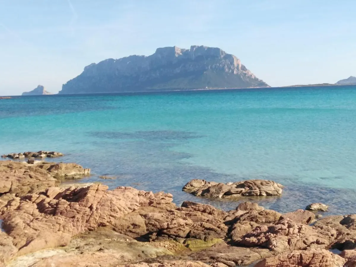 Holiday home Aria Di Vacanza - S'Abba Lughente Olbia