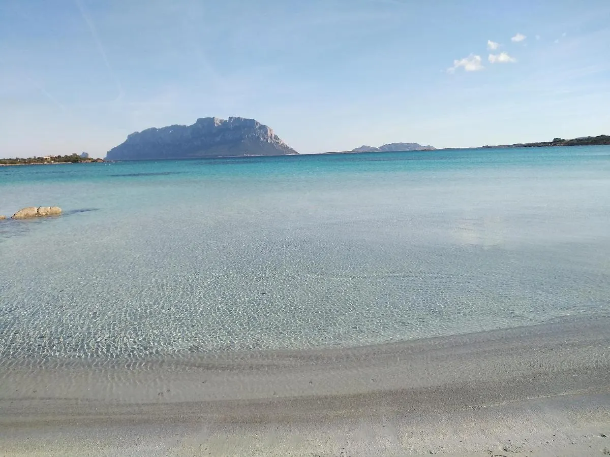 Aria Di Vacanza - S'Abba Lughente Olbia 0*,